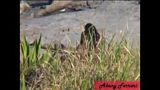 Ninfetinha loira metedeira delirando na foda amadora